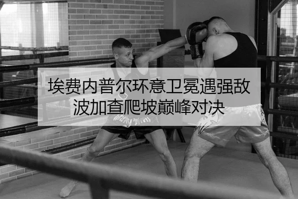 ai-fei-nei-pu-er-huan-yi-wei-mian-yu-qiang-di-bo-jia-cha-pa-po-dian-feng-dui-jue-2-657.jpg